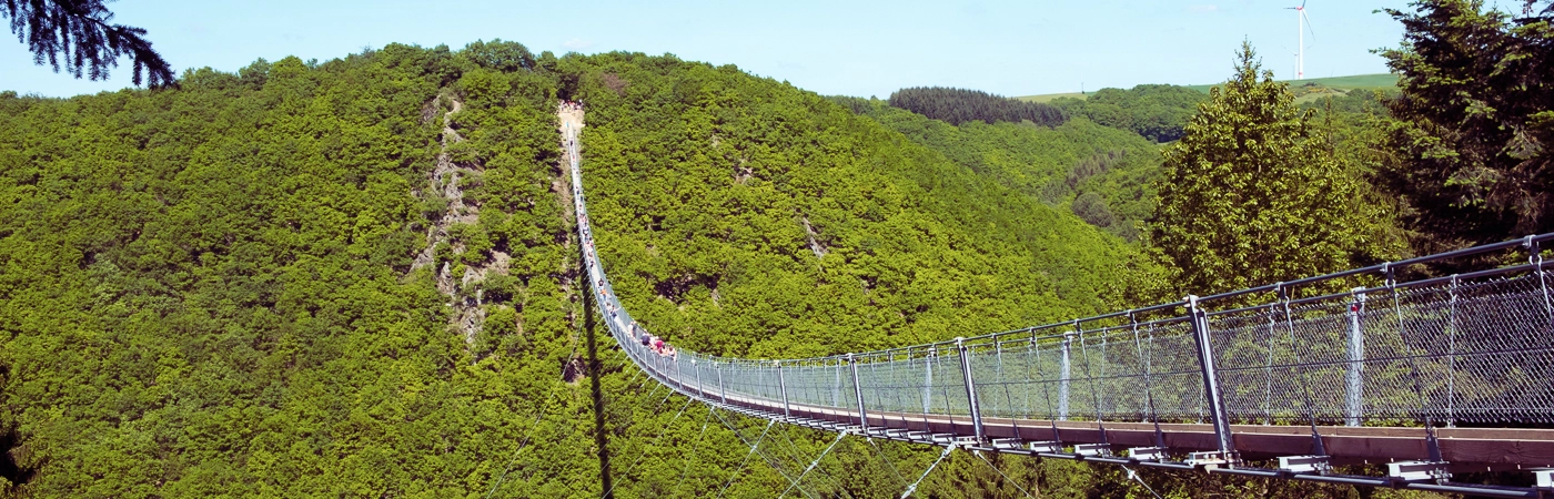 Schwindelerregende Aussichten auf der Hängeseilbrücke Geierlay
